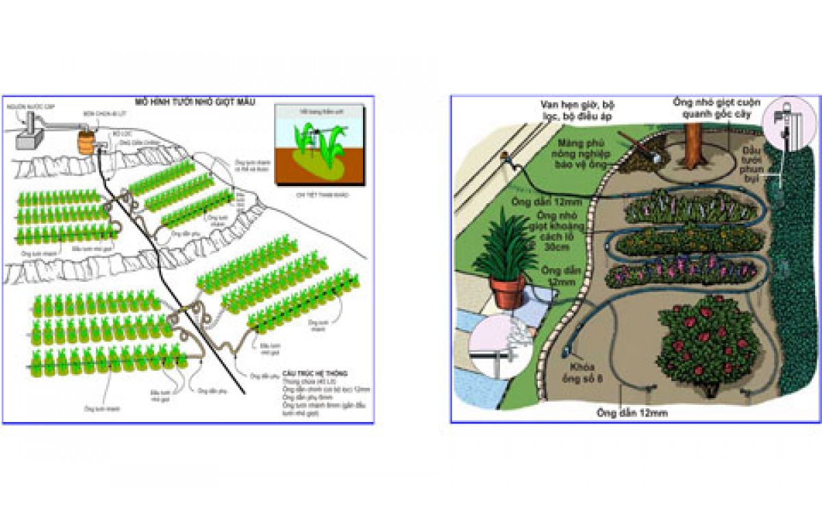 Mô hình hệ thống tưới tự động tiêu chuẩn