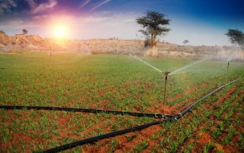 Hệ thống tưới phun mưa cho nông nghiệp